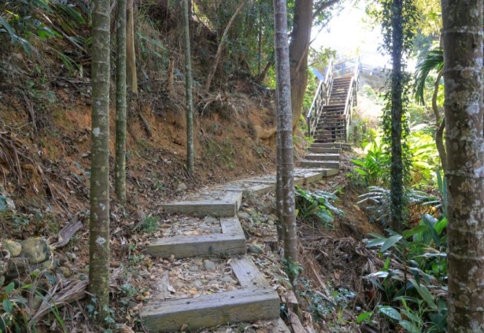 坑內坑森林步道 坑內坑森林步道