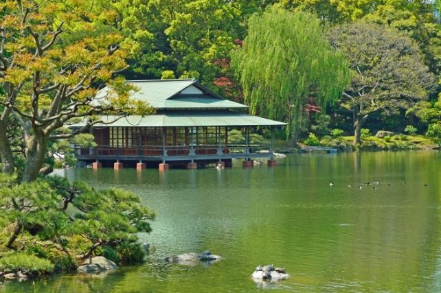 東京消防博物館 東京消防博物館