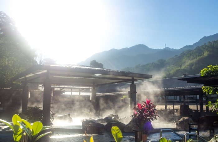 三峽大板根森林遊樂區 三峽大板根森林遊樂區