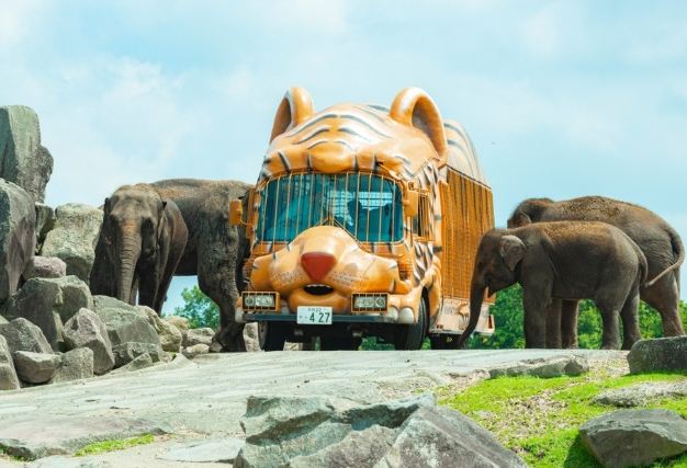 九州動物園 九州動物園