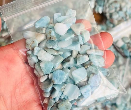海紋石功效 海紋石功效