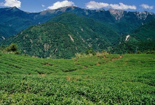 南橫景點