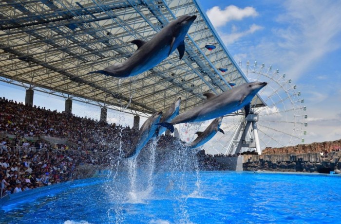 名古屋水族館 名古屋水族館