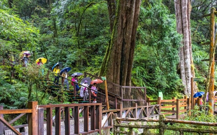 拉拉山森林遊樂區 拉拉山森林遊樂區