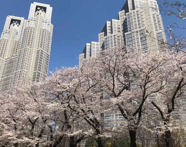 新宿景點 新宿景點
