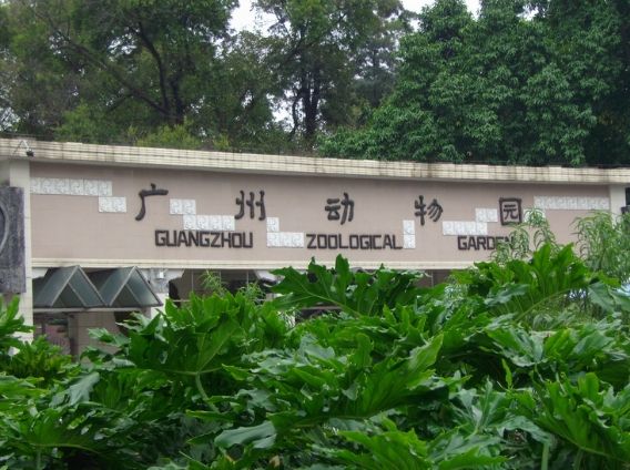 廣州動物園 廣州動物園