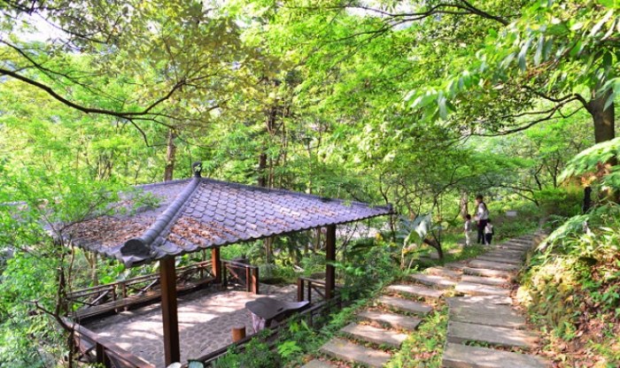 三峽大板根森林遊樂區 三峽大板根森林遊樂區