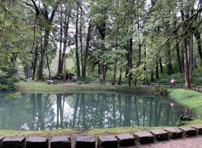 水山巨木步道