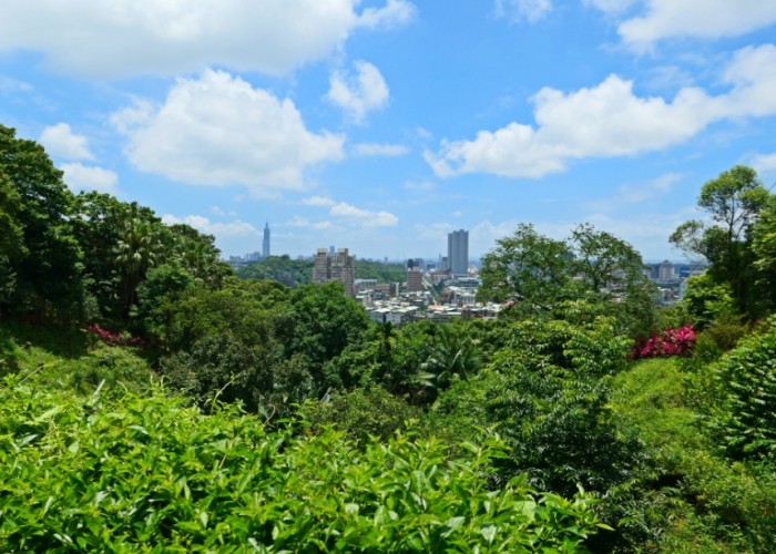 小南港山 小南港山