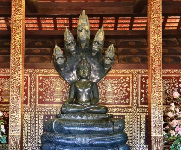 柴迪隆寺 柴迪隆寺