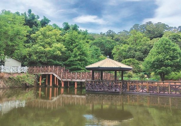 造橋木炭博物館 造橋木炭博物館