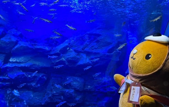 員林水族館 員林水族館