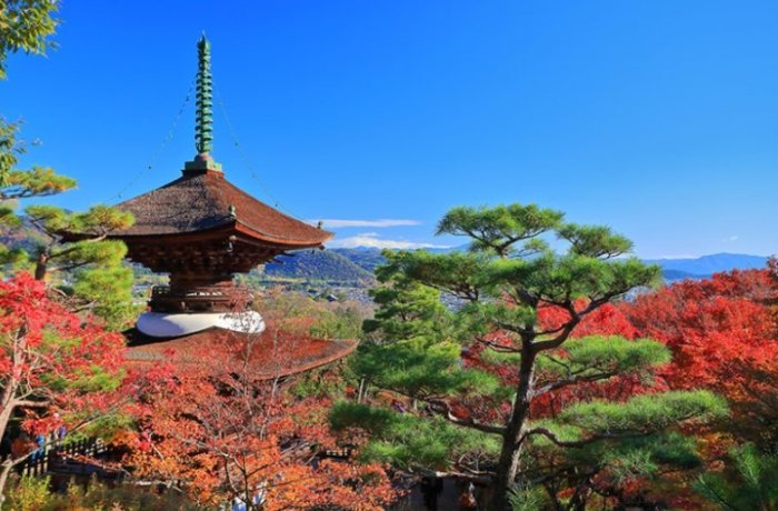 常寂光寺 常寂光寺
