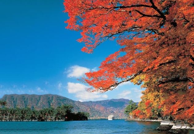 日本東北自由行