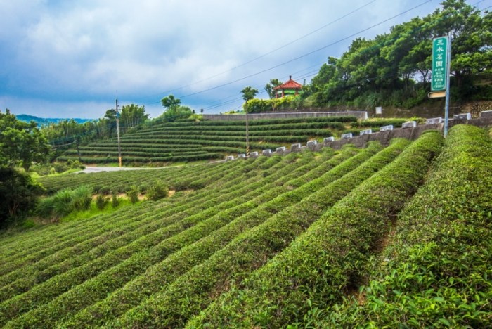 龍潭親子景點