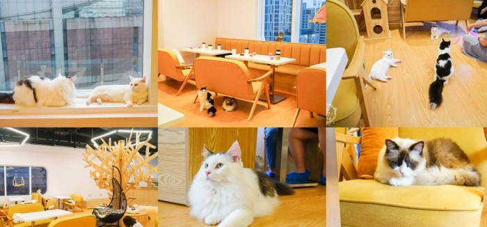 動物餐廳 動物餐廳