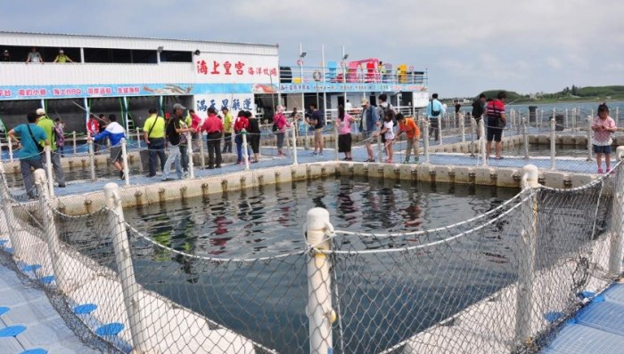 澎湖海洋牧場 澎湖海洋牧場