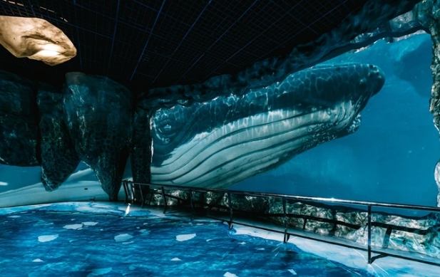 國立海洋生物博物館 國立海洋生物博物館