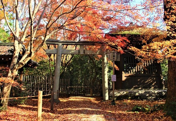 蓮華寺 蓮華寺