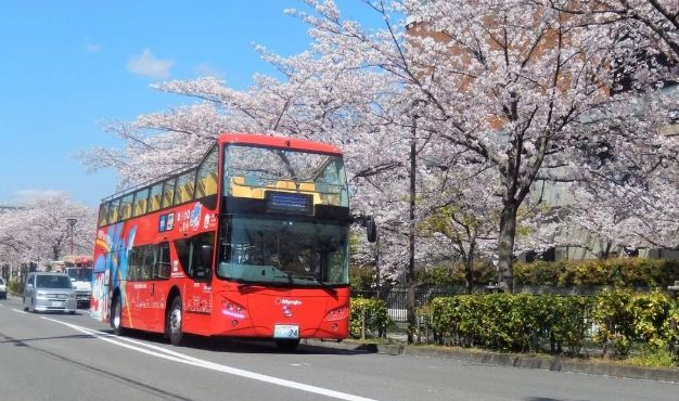 日本京都自由行 日本京都自由行
