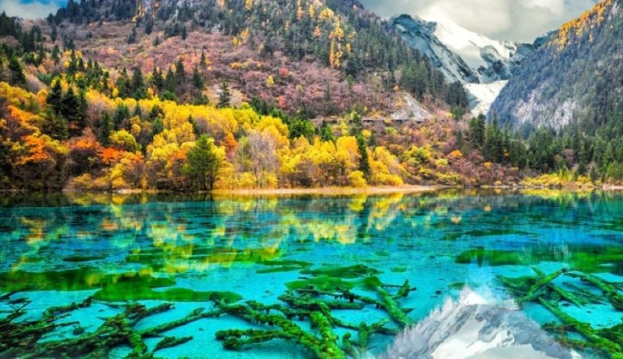 九寨溝旅遊 九寨溝旅遊