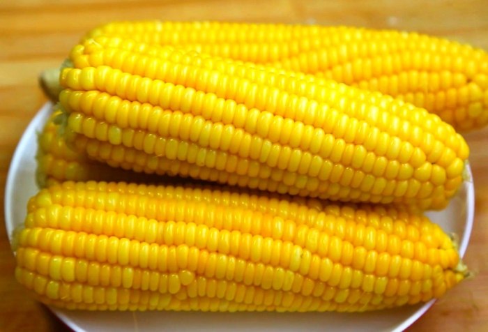 玉米熱量 玉米熱量