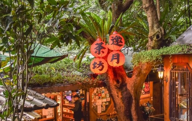 星 月 天空 夜景 景觀 餐廳 星 月 天空 夜景 景觀 餐廳