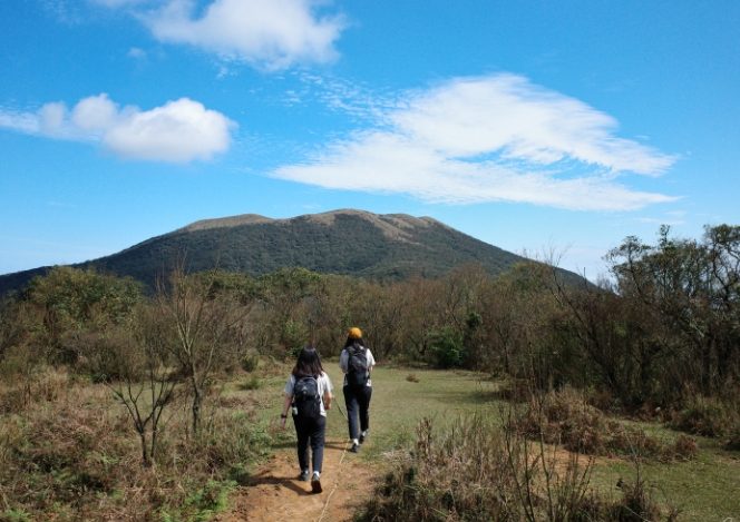 金剛山 金剛山