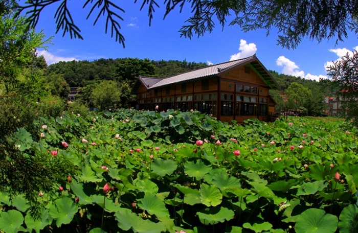 桃米生態村 桃米生態村