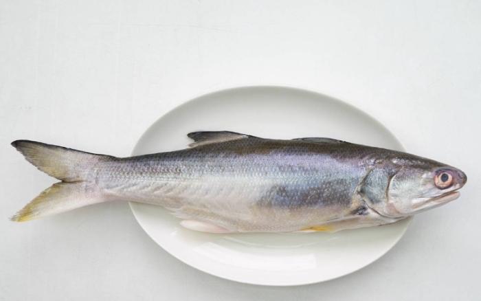 午魚 午魚