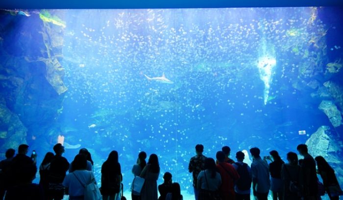 青埔水族館 青埔水族館
