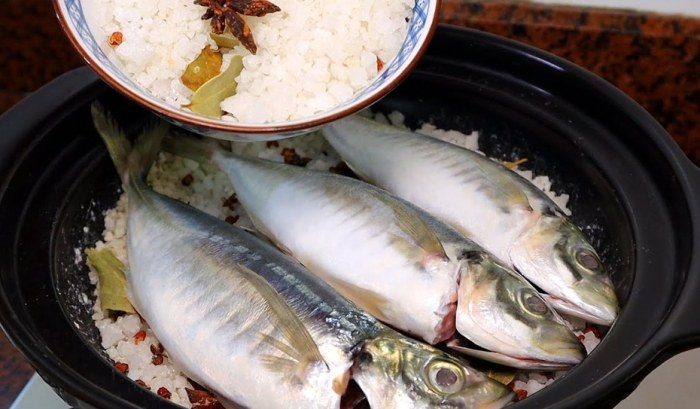 巴浪魚 巴浪魚