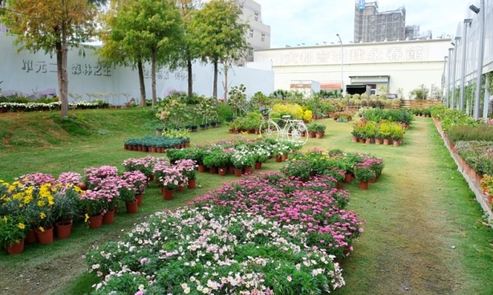 南屯花市 南屯花市