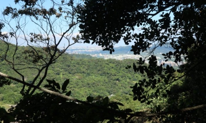 天母廣場 天母廣場