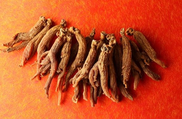 紅参功效 紅参功效