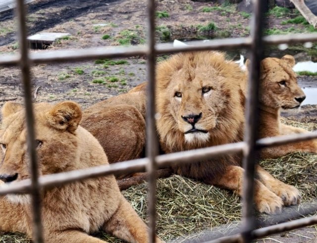 九州野生動物園 九州野生動物園