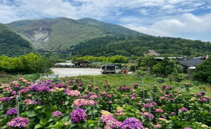 竹子湖餐廳