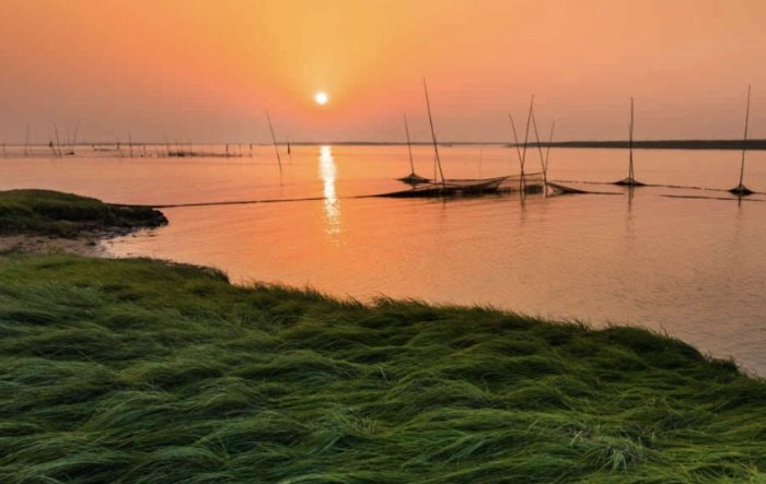 鄱陽湖 鄱陽湖