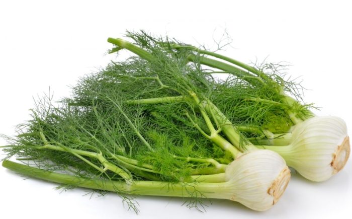 茴香功效