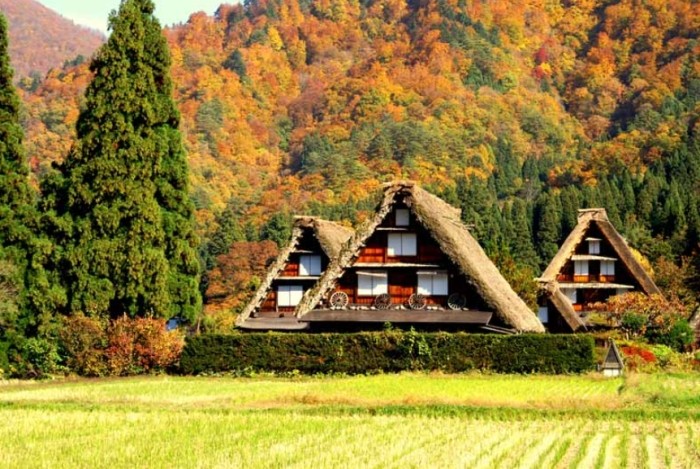 白川鄉合掌村 白川鄉合掌村
