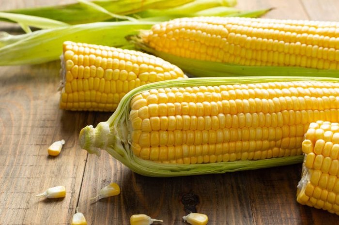 玉米熱量 玉米熱量