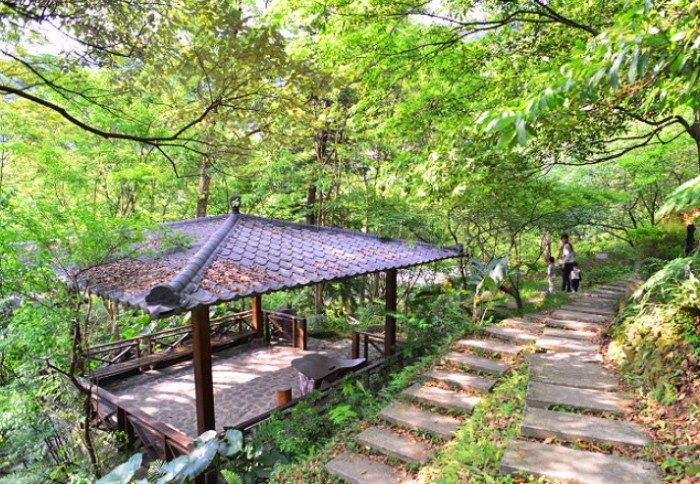 大板根森林遊樂園
