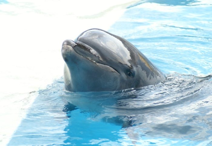 沖繩水族館