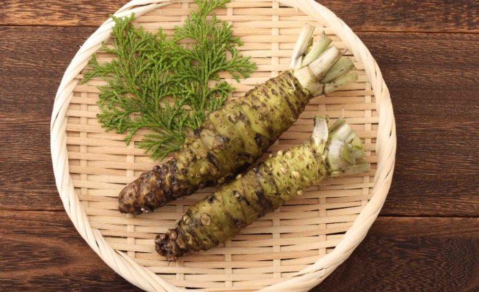 嘉義縣美食 嘉義縣美食