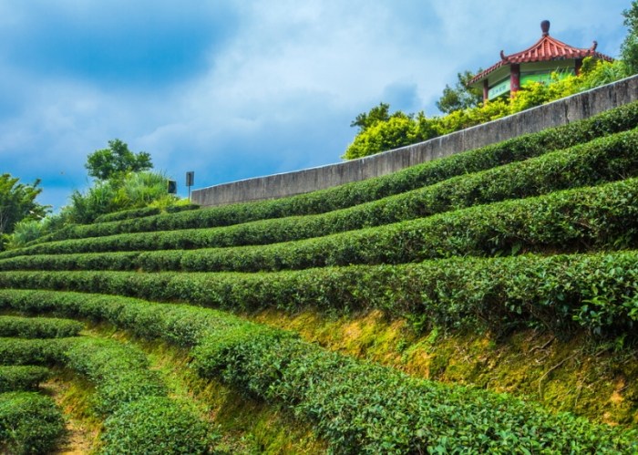 龍潭景點 龍潭景點