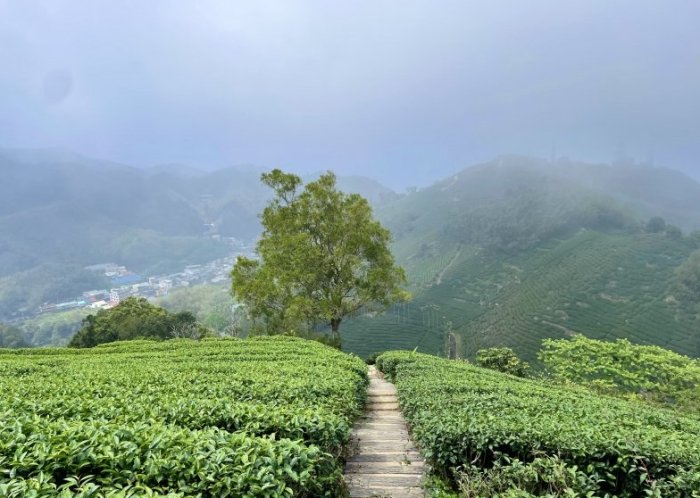 梨子腳山 梨子腳山
