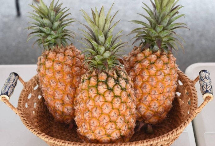 鳳梨好處 鳳梨好處
