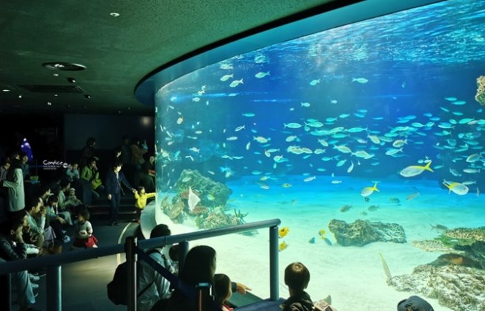 太陽城水族館 太陽城水族館