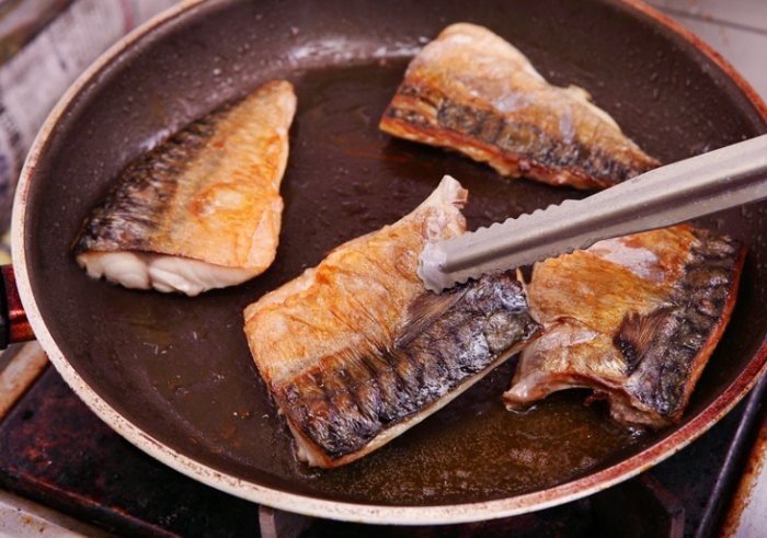 鯖魚營養 鯖魚營養