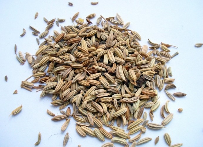 茴香功效